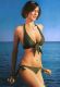 Catherine_Bell_002.jpg
