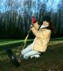Shania_Twain_026.jpg