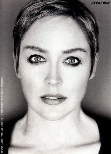 Sharon_Stone_a03.jpg